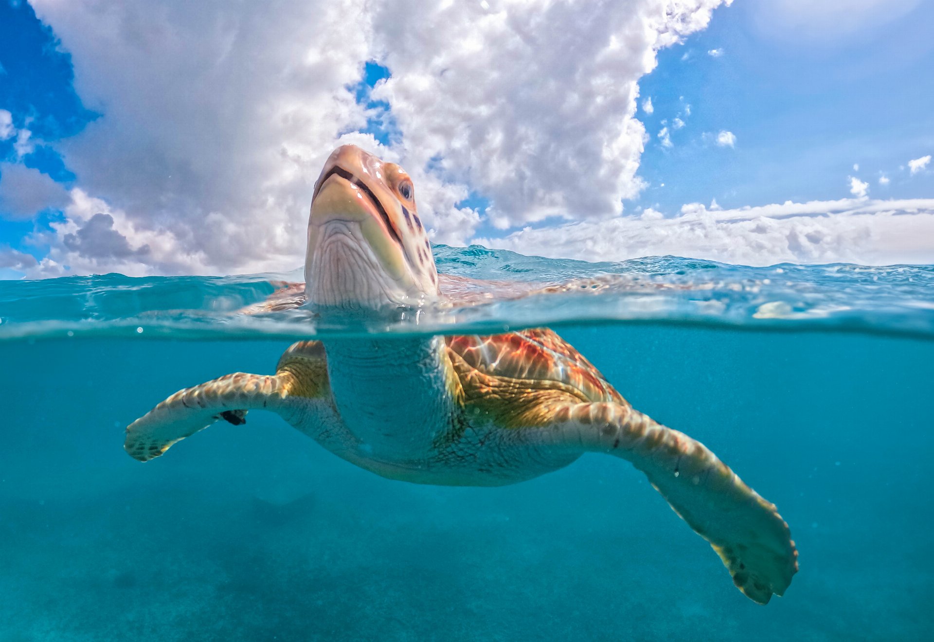 Akumal